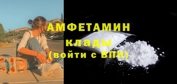 крисы Краснослободск