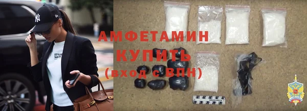 крисы Краснослободск