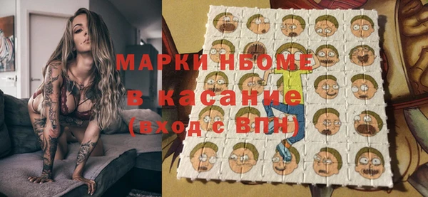 крисы Краснослободск