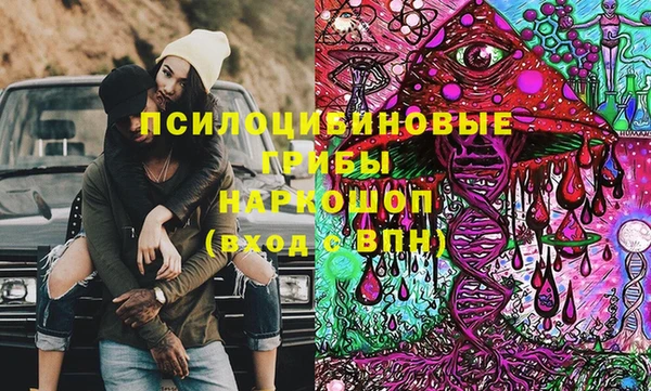 крисы Краснослободск