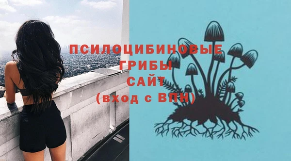 стафф Краснотурьинск